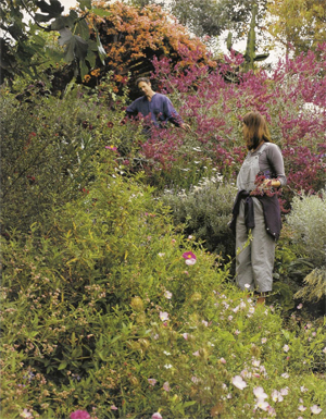 Garden Design, Feb-Mar 2000